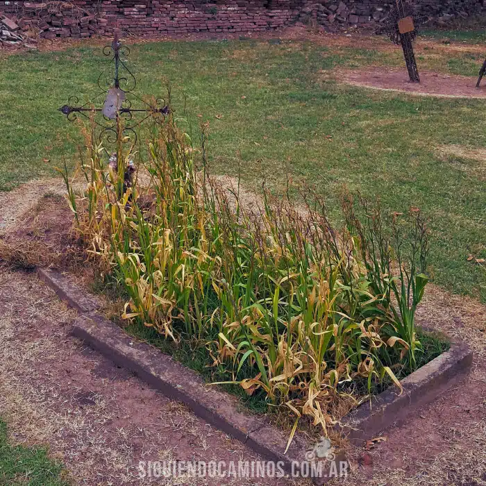 El misterio de la desconocida, historias de cementerios, siguiendo caminos