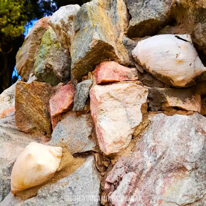 Gruta nuestra señora de Fatima, Colonia Rivadavia, Sasnta Fe, siguiendo caminos