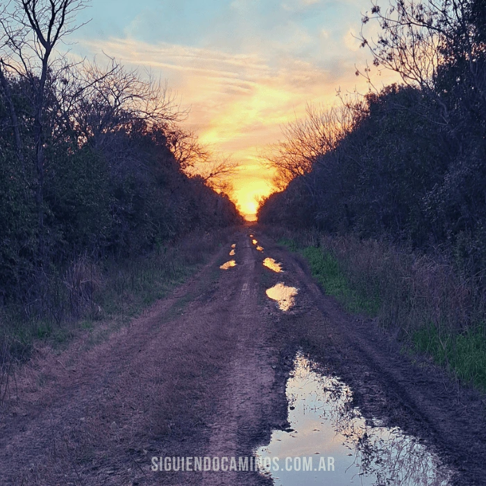 Atardecer en un camino rural de Irigoyen, Ssanta Fe, Siguiendo Caminos